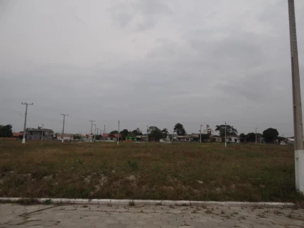 020260805073102DSC08338-(Copy).JPG