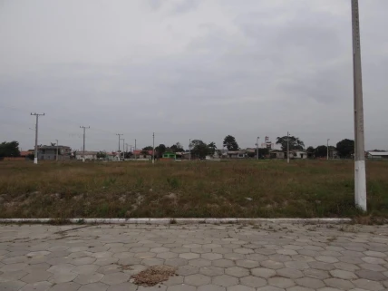 120260805073102DSC08339-(Copy).JPG