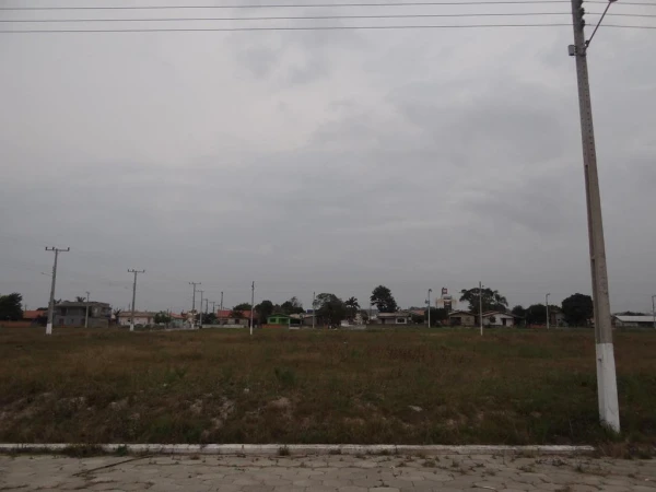 220260805073102DSC08340-(Copy).JPG