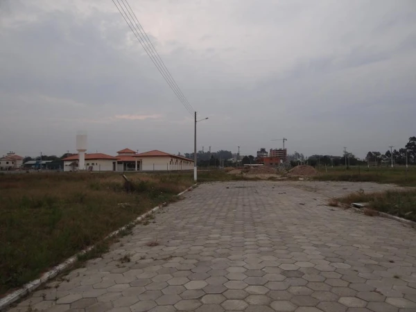 320260805073102DSC08341-(Copy).JPG