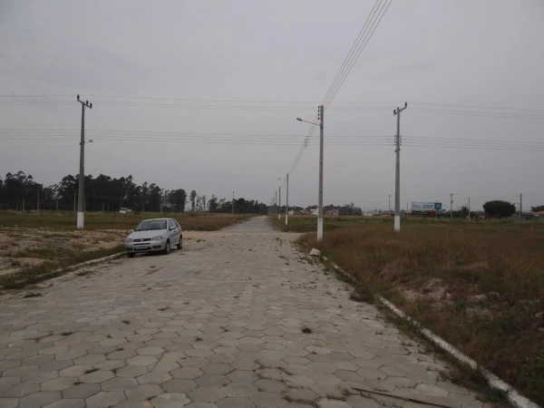 420260805073102DSC08342-(Copy).JPG