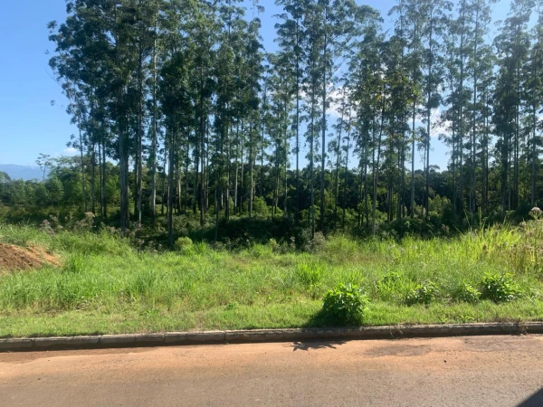 420260805073137WhatsApp-Image-2024-03-27-at-11.14.37.jpeg