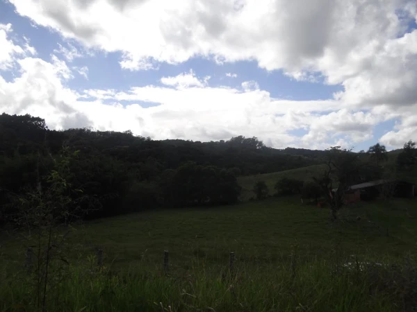 920260925071918DSC02894-(Copy).JPG